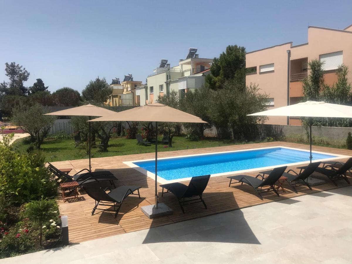 Petar's Dream 3 *