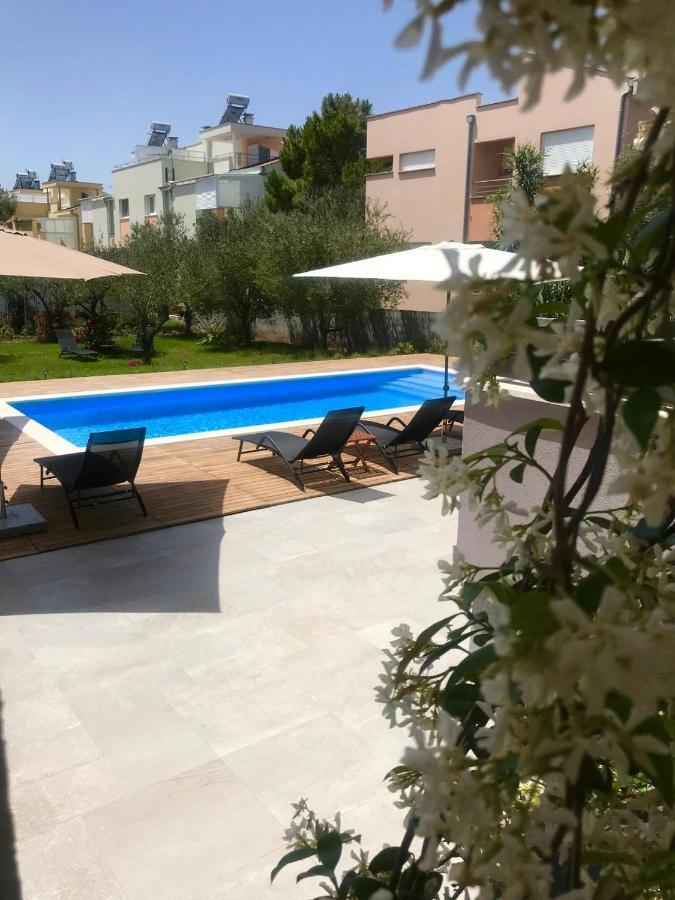 Petar's Dream 3 * Privlaka (Zadar)